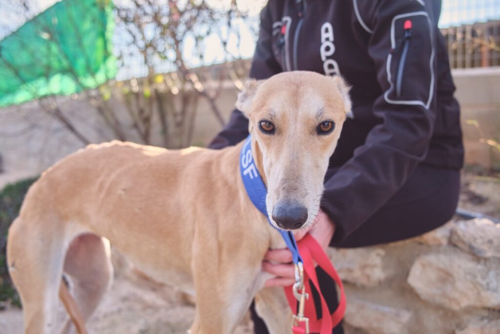 Edna (F) Refuge de Tobarra
