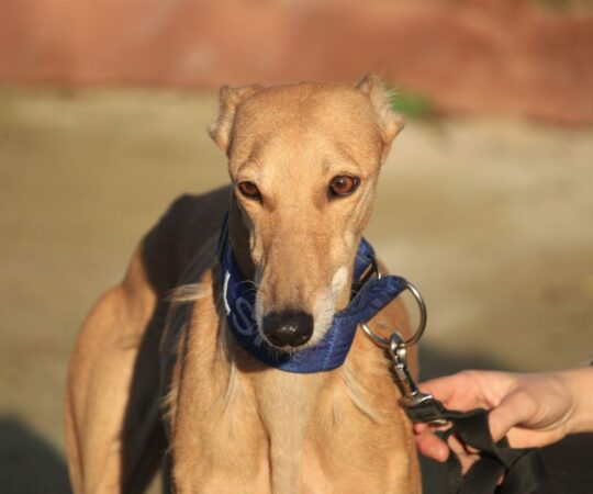 Macarena (F) Refuge de la FBM