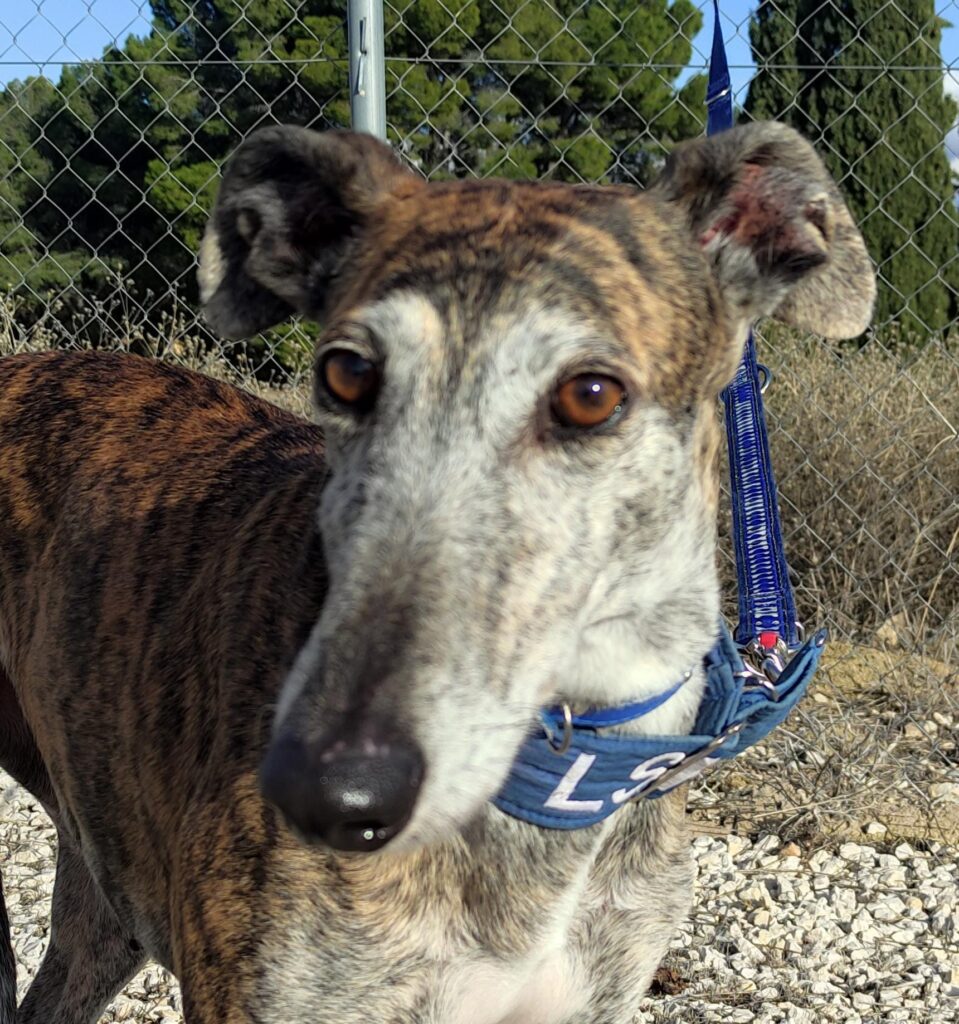 MAGA (F) / Refuge d&rsquo;Abyda