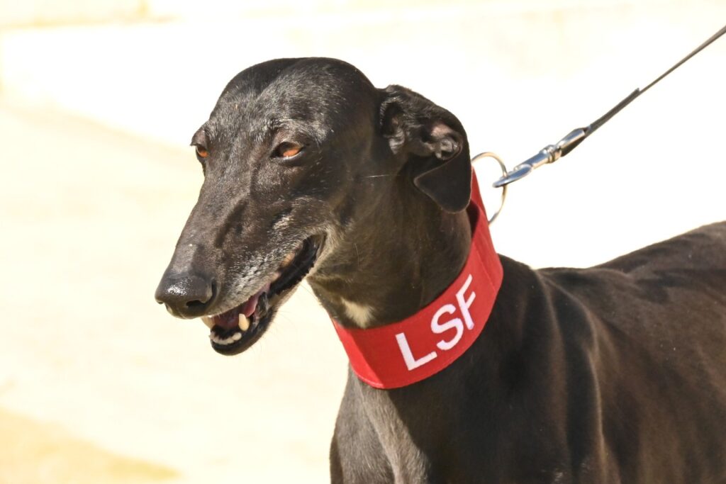 Dana (F) Refuge d’Ecija