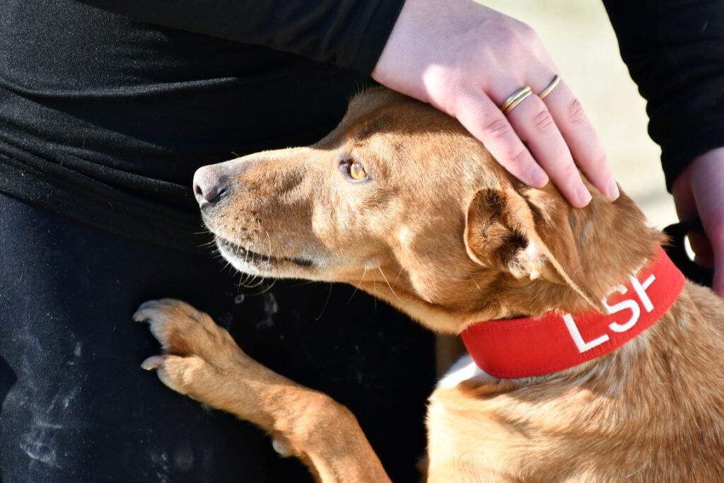 Tobi (M) Pod / Refuge d’Ecija