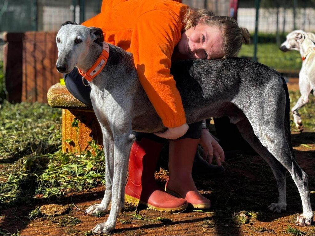 Wilo (M) Senior / Refuge de la FBM