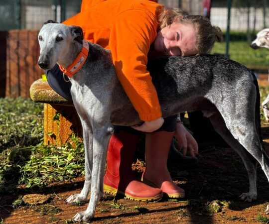 Wilo (M) Senior / Refuge de la FBM