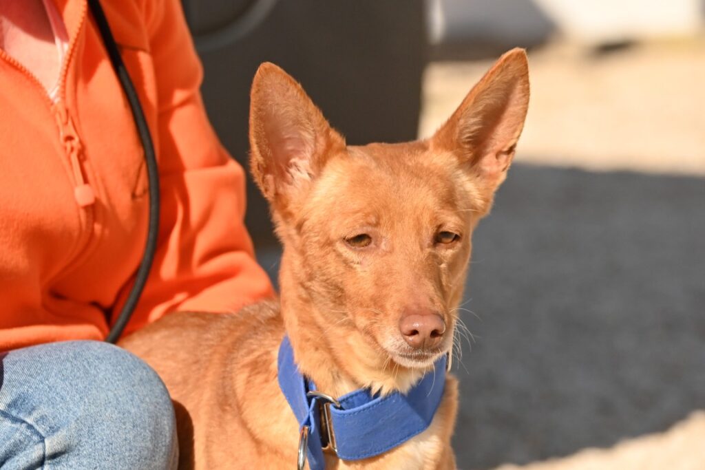 Clarita (F) Pod / Refuge d&rsquo;Abyda