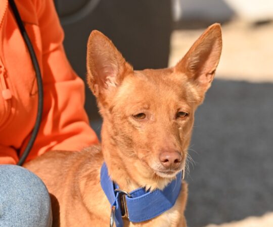 Clarita (F) Pod / Refuge d&rsquo;Abyda