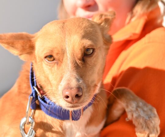 Dara (F) Pod / Refuge d&rsquo;Abyda