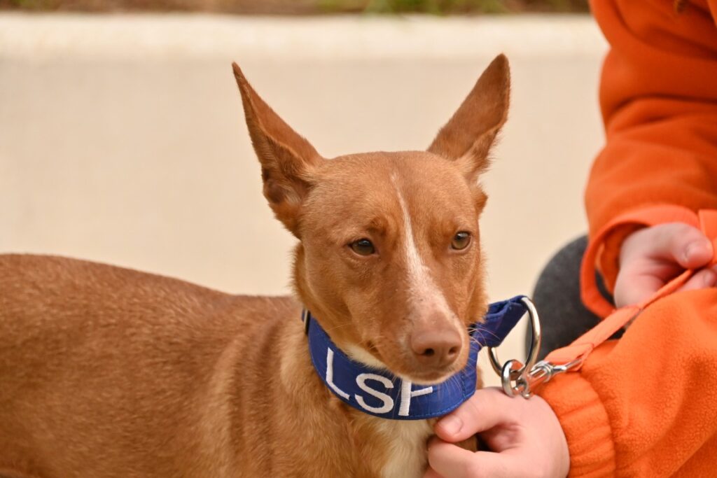 Flora (F) Pod / Refuge de la FBM