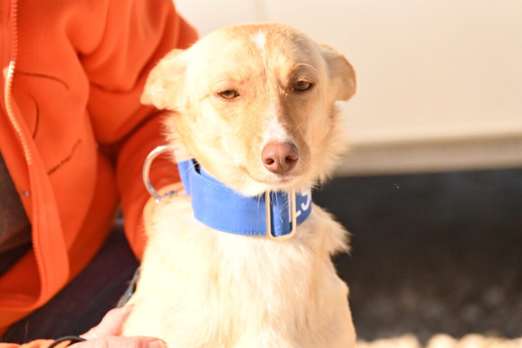 Gaia (F) Pod / Refuge d&rsquo;Abyda