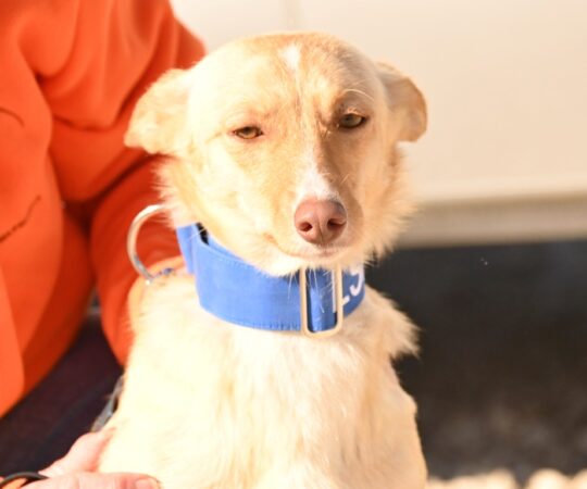 Gaia (F) Pod / Refuge d&rsquo;Abyda