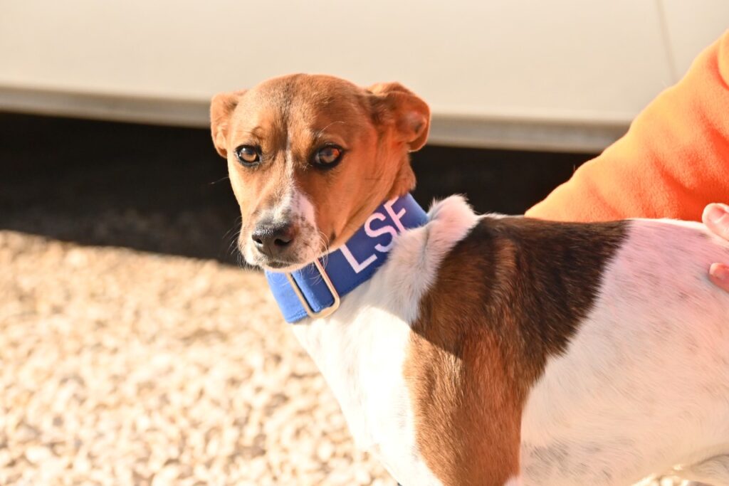 Galleta (F) Pod / Refuge d&rsquo;Abyda