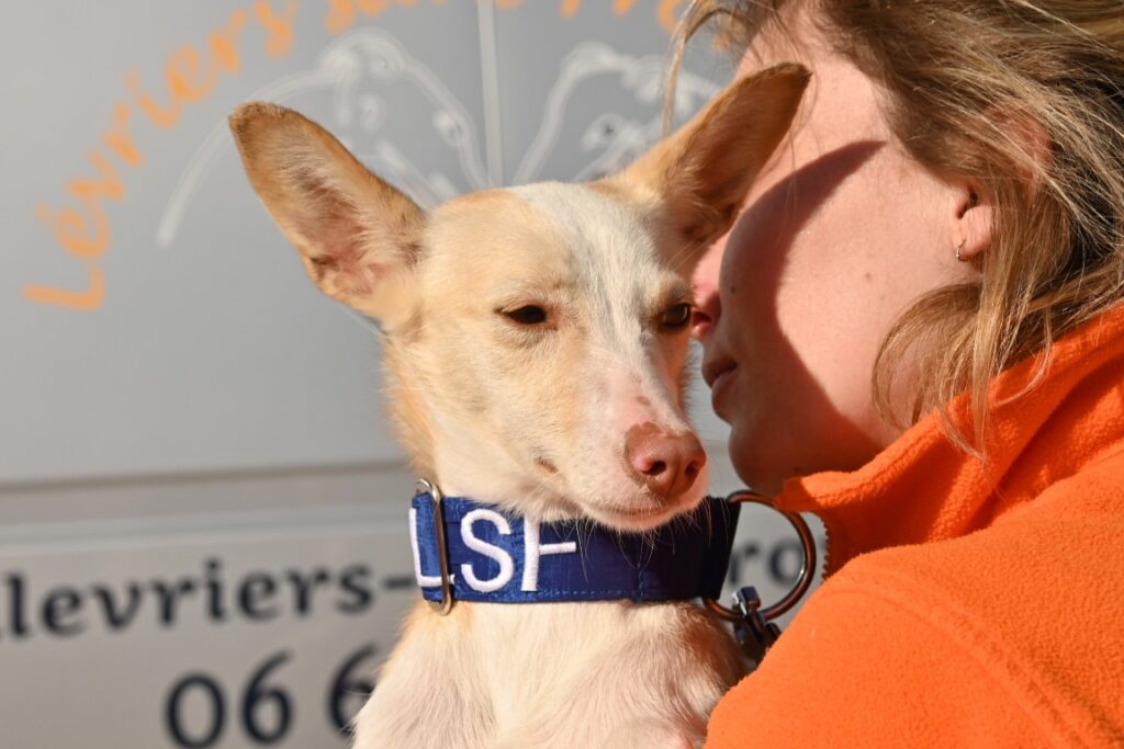 Isabella (F) Pod / Refuge d&rsquo;Abyda Adoptée