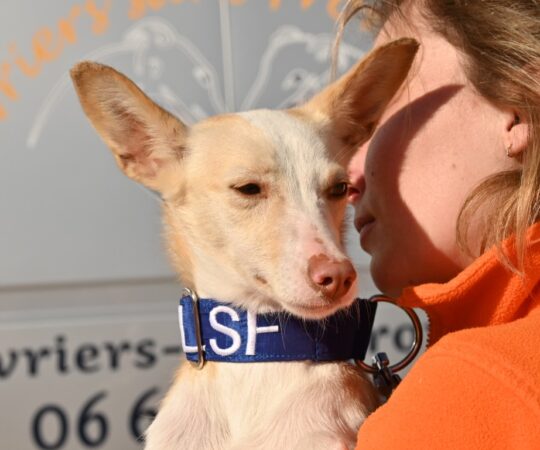 Isabella (F) Pod / Refuge d&rsquo;Abyda Adoptée