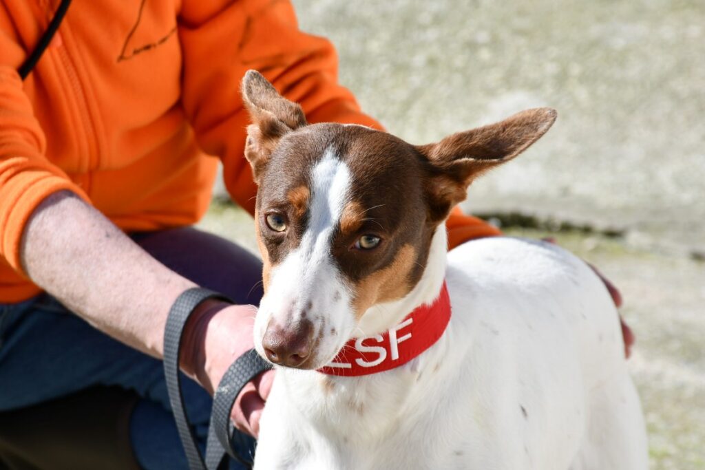 Kely (F) Pod / Refuge d&rsquo;Ecija