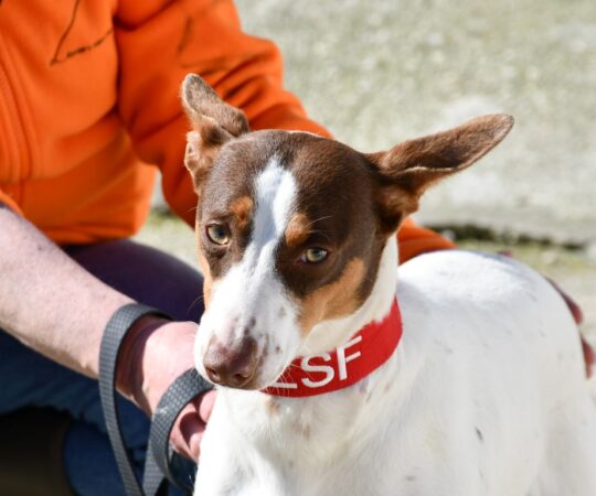 Kely (F) Pod / Refuge d&rsquo;Ecija