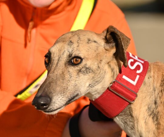 Lorena (F) Refuge de la FBM