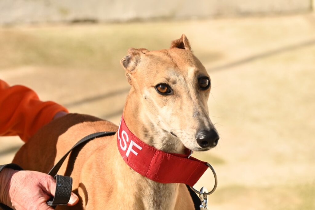 Manuela (F) Refuge d&rsquo;Ecija