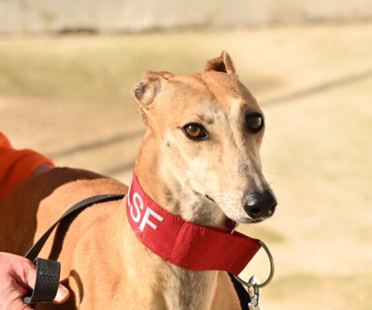 Manuela (F) Refuge d&rsquo;Ecija