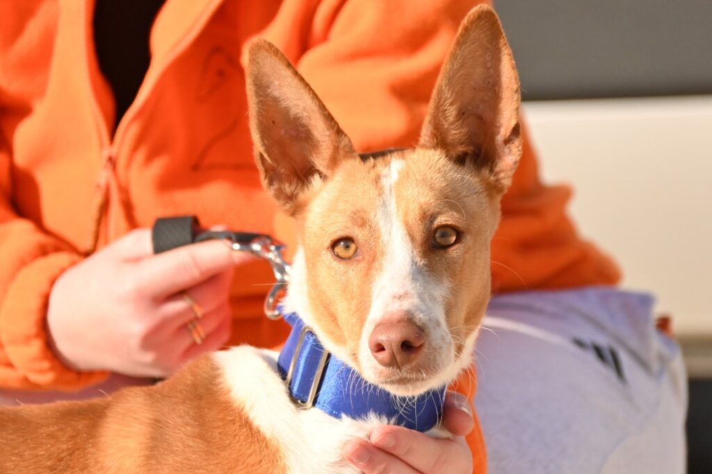 Manuela (F) Pod / Refuge d&rsquo;Abyda