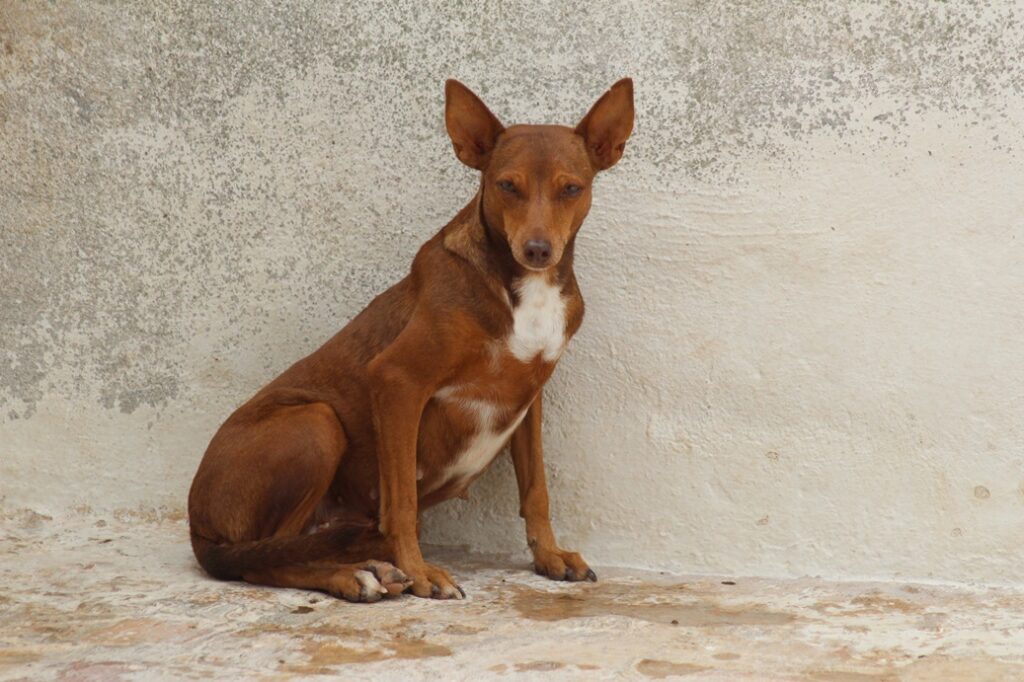 Neli (F) Pod Refuge d&rsquo;Ecija